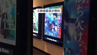 映画館バイト🎬