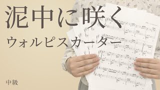 泥中に咲く / ウォルピスカーター【ピアノ】（電子楽譜カノン）