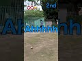 1ゲート外したら負け！ gateball ゲートボール challenge andymori