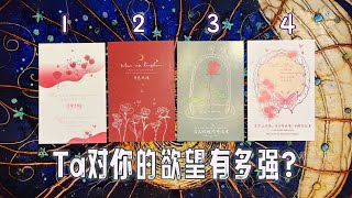 【Ivy塔羅】Ta對妳的慾望有多強烈？｜塔羅占卜｜神諭卡｜雷諾曼｜歐卡 Oh Cards｜占星骰子  #大眾占卜