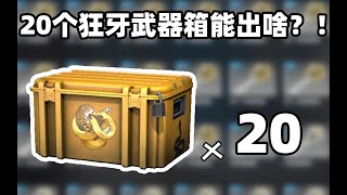 【CSGO开箱】20箱狂牙大行动武器箱能出啥？！崭新暗金印花a1？