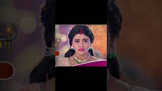 payege na tumhe jab tak sanam lete rahenge janam pe janam paro dangal tv#youtubeshorts#shots#viral