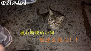 在垃圾堆捡到一只小猫，脚好像被人打断了