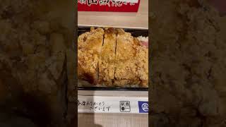 【飯テロ】駅弁 信州名物山賊焼弁当(1,080