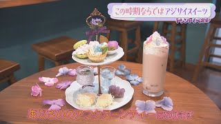 【トレンドふくおか】この時期限定アジサイを味わう！？【アサデス。】