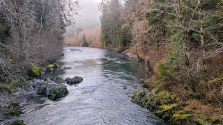 olympic peninsula