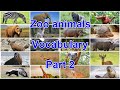 Zoo animals vocabulary in English - Part 2