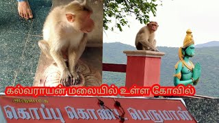 கொப்பு கொண்ட பெருமாள் கோவில் || மாயவன் மலை || பெ.நா.பாளையம், ஆத்தூர்.