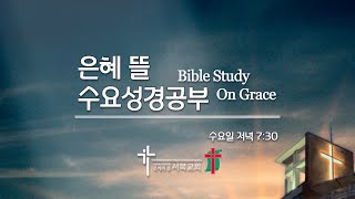 2025.1.15 수요성경공부 (사도행전11:19~26) 복음의 통로가 되는 삶 - 김인순 목사