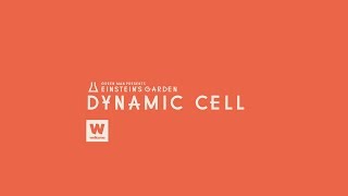 Dynamic Cell