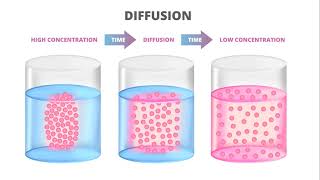 Osmosis and Diffusion