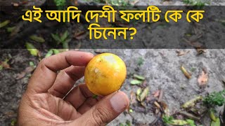 টক ফল গাছ || দেশীয় ফল গাছ || Deshi fol || Deshi fruit tree