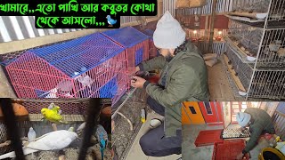 খামারে,,এতো পাখি আর কবুতর কোথা থেকে আসলো,,,🐦