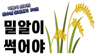 예수님흉내내기34회-밀알이 썩어야