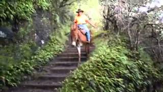 Moloka'i Sea cliffs by Mule.....stunning.....