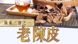 假陳皮？染色陳皮? 有色無味扮靚貨，大棧教路勿買錯！#新會 #陳皮