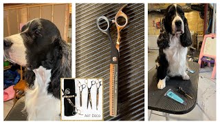 Reviewing Ashley Craig's Art Deco Thinning Scissors| Ember And Cole The English Springer Spaniels