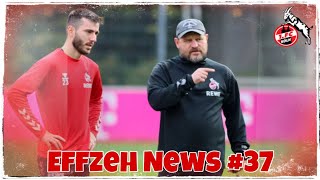 1.FC Köln will nun doch einen Flügelspieler verpflichten! Adamyan & Kicktipprunde! Effzeh News #37