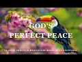 God's Perfect Peace: Instrumental Worship and Scriptures with Birds 🕊 Peaceful Praise