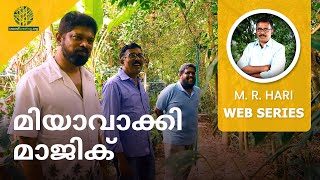 MIYAWAKI MAGIC | മിയാവാക്കി മാജിക്‌