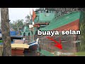 Sarang Buaya ganas muara sungai selan