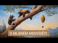 O MLSNÉM MEDVÍDĚTI 🐻🐝 - audio pohádka (2024)