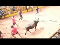 திருச்சி சூரியூர் ஜல்லிக்கட்டு highlights suriyur jallikattu official