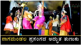 ನಾಗಮಂಡಲ ಪ್ರಸಂಗದ ಅದ್ಭುತ ತುಣುಕು - nagamandala yakshagana kannada - goligaradi yakshagana - Yakshagana