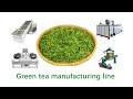 CHAMA Brand Green tea manufacturing line