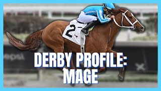 Nathan’s Kentucky Derby Profile: Mage