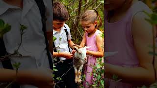 🐐 Pregnant and Alone: Daisy the Goat’s Incredible Rescue \u0026 Survival Story! #heartwarmingrescue