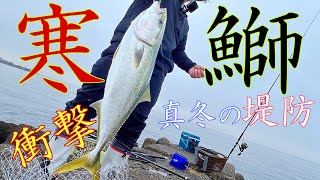 真冬の堤防から巨大ブリが釣れた！！【大阪湾】