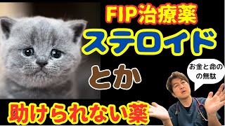 FIP治療でお金と命の無駄になる薬たち＠猫伝染性腹膜炎（FIP）治療の実際 2024年18本目