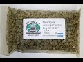 Burman Coffee Traders J&M Farms Nicaraguan Jinotega Paraiso Coffee Taste Test!