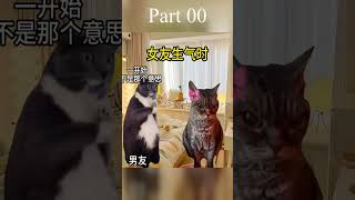 男友生气时VS女友生气时 #小猫：这局玩得有点费猫 #猫咪表情包 #情侣 #情侣日常 #谁能拒绝傻憨憨的小猫咪 1 000