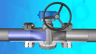 Plug Valve