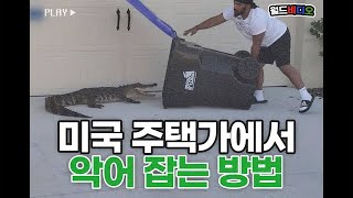 [월드비디오] 미국 주택가에서 악어 잡는 방법 🐊