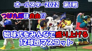 【オールスター2022】ハリーの目線の先には自由なつば九郎 現地映像