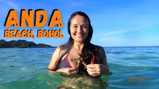 Discover Anda Beach: A Tropical Paradise in Bohol