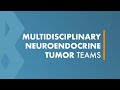 Multidisciplinary Neuroendocrine Tumor Teams