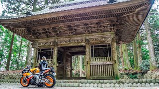 【酷道・険道】荒れた道のその先に神秘的な山門がありました～秘境への道～【CBR1000RR SC57後期 逆車】バイク女子【静岡県道63号藤枝天竜線】