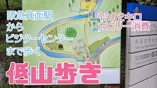 箕面駅〜ビジターセンターまで歩く　　トレッキング　　1392キロカロリー消費