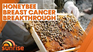 Groundbreaking study finds honey bee venom can kill breast cancer cells | 7NEWS