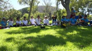 Continuing Thay- Picnic Day of Mindfulness (Vietnamese)