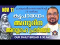 നവംബർ 11 | കൃപാസനം അനുദിന അനുഗ്രഹ പ്രാർത്ഥന | Our Daily Bread |പ്രത്യക്ഷീകരണത്തിന്റെ ഇരുപതാം വർഷം.