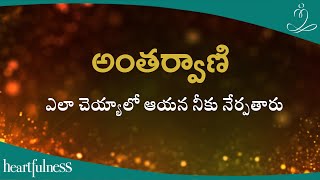 అంతర్వాణి ఎలా చెయ్యాలో ఆయన నీకు నేర్పతారు | Heartfulness Telugu | 04-03-2024