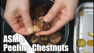 ASMR | Peeling Chestnuts 1hour