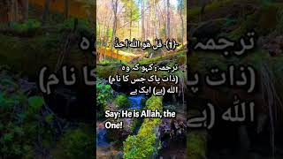 surah e ikhlas with streaming water sounds | Islamic video | nature sounds | nature #shorts #healing