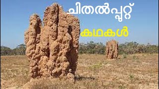 ചിതൽപ്പുറ്റ് | ചിതൽ പുറ്റ് | termitarium | termite mound | ഈയൽ | ഈയാമ്പാറ്റ | പാമ്പിൻപുറ്റ്