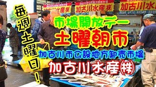 加古川 市場開放デー土曜朝市 加古川水産 加古川市公設地方卸売市場